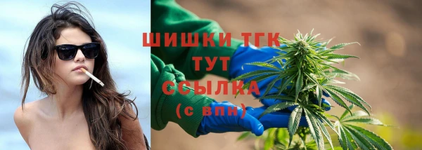 скорость Алзамай