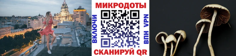 сайты даркнета клад  блэк спрут ONION  Талица  Псилоцибиновые грибы Cubensis 